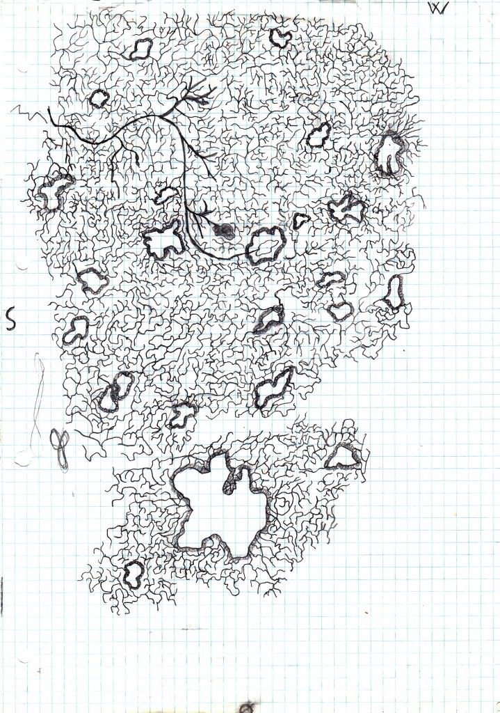 underdark map 2